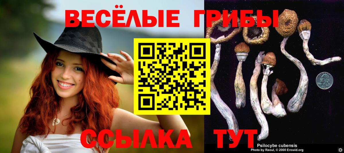 Галлюциногенные грибы прущие грибы Кувандык
